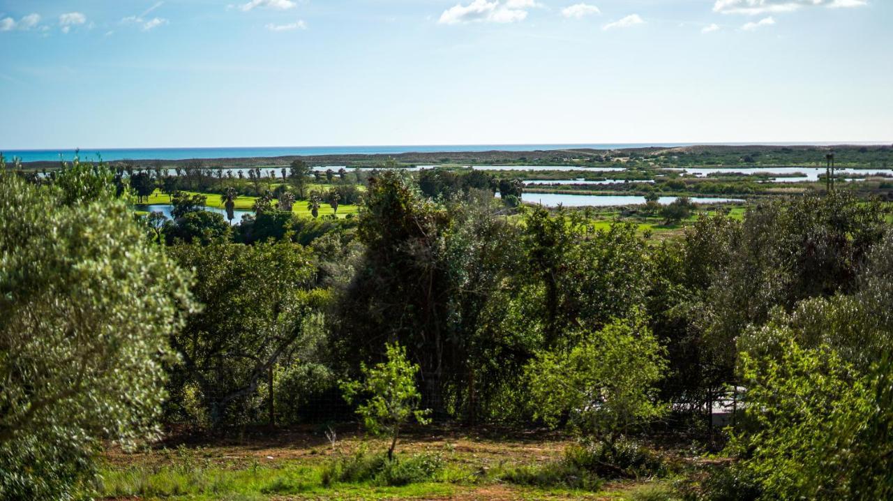 Quinta Da Felicidade, Casa Estrela جويا المظهر الخارجي الصورة